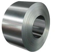 ASTM 316 roostevabast terasest mähis